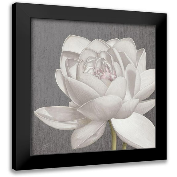 Cusson, Marie Elaine 12x12 Black Modern Framed Museum Art Print Titled - Vintage Lotus on Grey II