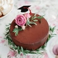 thumbnail image 3 of MLINS  30 Pcs Decorations Graduation Cake Inserts Creative Picks Decorating, 3 of 8