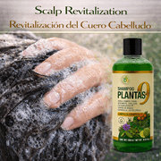 Herbal Shampoo 9-Plant – 16.9 fl oz – with Cacahuananche, Sangre de Grado, Bergamot, Aloe Vera (Sábila), Rosemary & More – Natural Botanical Formula – Paraben & Sodium-Free – Strengthens Hai