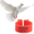 thumbnail image 3 of 100Pcs Bird Leg Bands Rings, 8MM 001-100 Numbered Poultry Leg Bands Clip-on Ring (White), 3 of 5