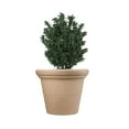 thumbnail image 4 of HC Companies 17" Terrazzo Round Plastic Planter w/ Heavy Rim, Sandstone Tan, 4 of 4