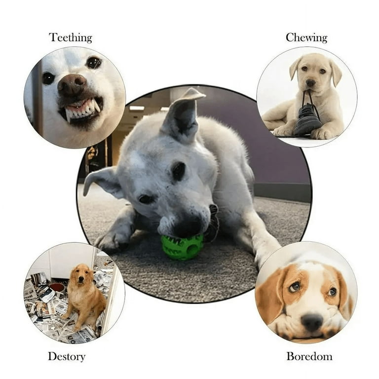 FANGANG Dog Puzzle Teething Toys Balls 2pack Interactive Rubber
