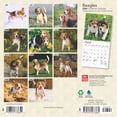 thumbnail image 2 of BrownTrout, Beagle 2025 Mini Wall Calendar, 2 of 9