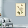 thumbnail image 3 of Trademark Fine Art 'Ruff neck Hummingbird' Canvas Art by John James Audubon, 3 of 4