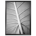thumbnail image 1 of MCS 24x36 Inch Gallery Aluminum Poster Frame, Black (44463), 24 x 36 Inch, 1 of 1