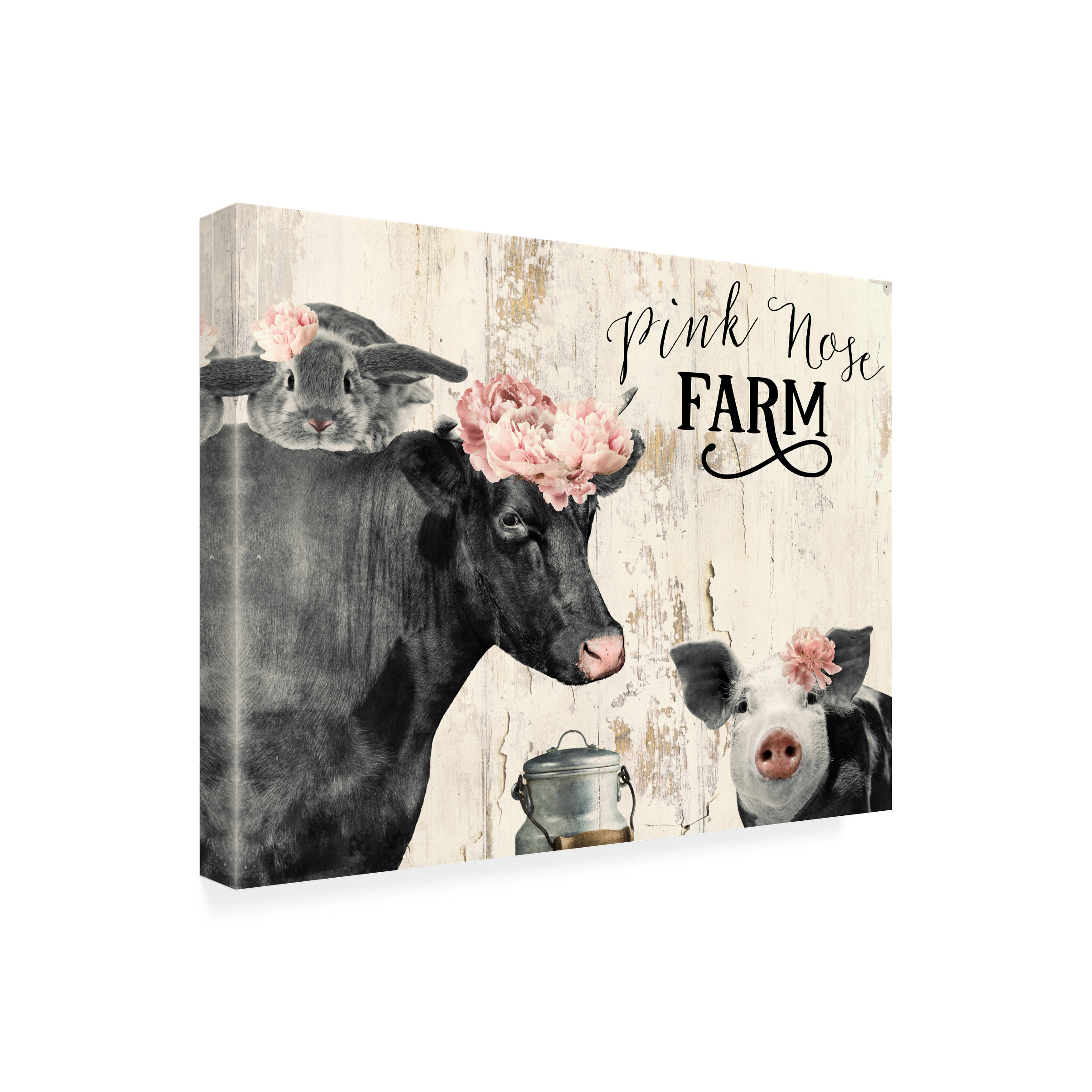 Canvas Wall Art - Sasha 'Pink Nose Farm I' Wall Art for Living Room, Bedroom, or Office DÃ©cor by Trademark Fine Art - 24 x 18 Inches