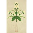 thumbnail image 2 of Christopher Dresser 10x14 Gold Ornate Wood Frame and Double Matted Museum Art Print Titled - The Art of Decorative Design Pl26 (1862), 2 of 4