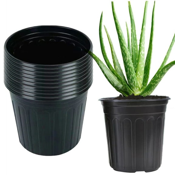 Bxaolu 10 Pack 6.5 Inch Plant Pots, Thickened Plastic Pots for Plants with Drainage Holes, Sturdy Seedling Pots, Seed Starting Pot, Flower Pots for Indoor Outdoor Plants, Black