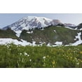 thumbnail image 2 of Paulson, Don 24x17 Gold Ornate Wood Framed with Double Matting Museum Art Print Titled - WA, Mt Rainier NP Sunrise on meadow with flowers, 2 of 4