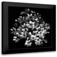 thumbnail image 1 of Depaepe, Yvette 15x15 Black Modern Framed Museum Art Print Titled - Early Sensation, 1 of 5