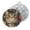 Black2305, variant on 2 PCS Pot Holders for Kitchen,Potholders Sets with Hook for Oven,Cooking,Baking,Colorful Cat With Floral Background And Bell Collar