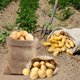 thumbnail image 1 of Bolsa organizadora de frijoles, bolsas de yute para comestibles de 80x50cm para jardinería, plantación, almacenamiento de alimentos, 1 of 8