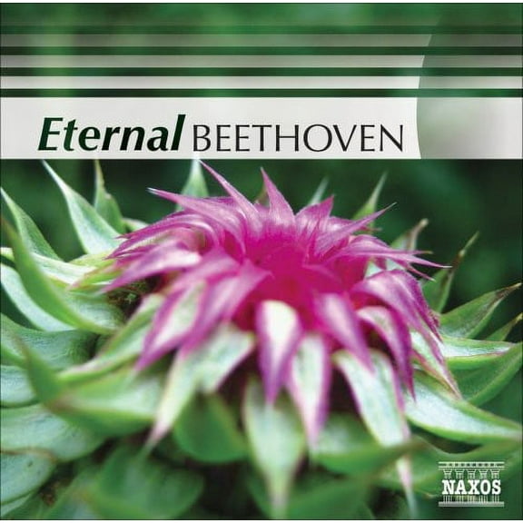 Various Artists - Eternal Beethoven / Various - Music & Performance - CD