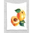 thumbnail image 1 of Apricot Tapestry, Hand Drawn Blob Watercolor Apricot and Half Apricot Seed, Wall Hanging for Bedroom Living Room Dorm Decor, 40W X 60L Inches, Rust Pale Orange Forest Green Black, by Ambesonne, 1 of 2
