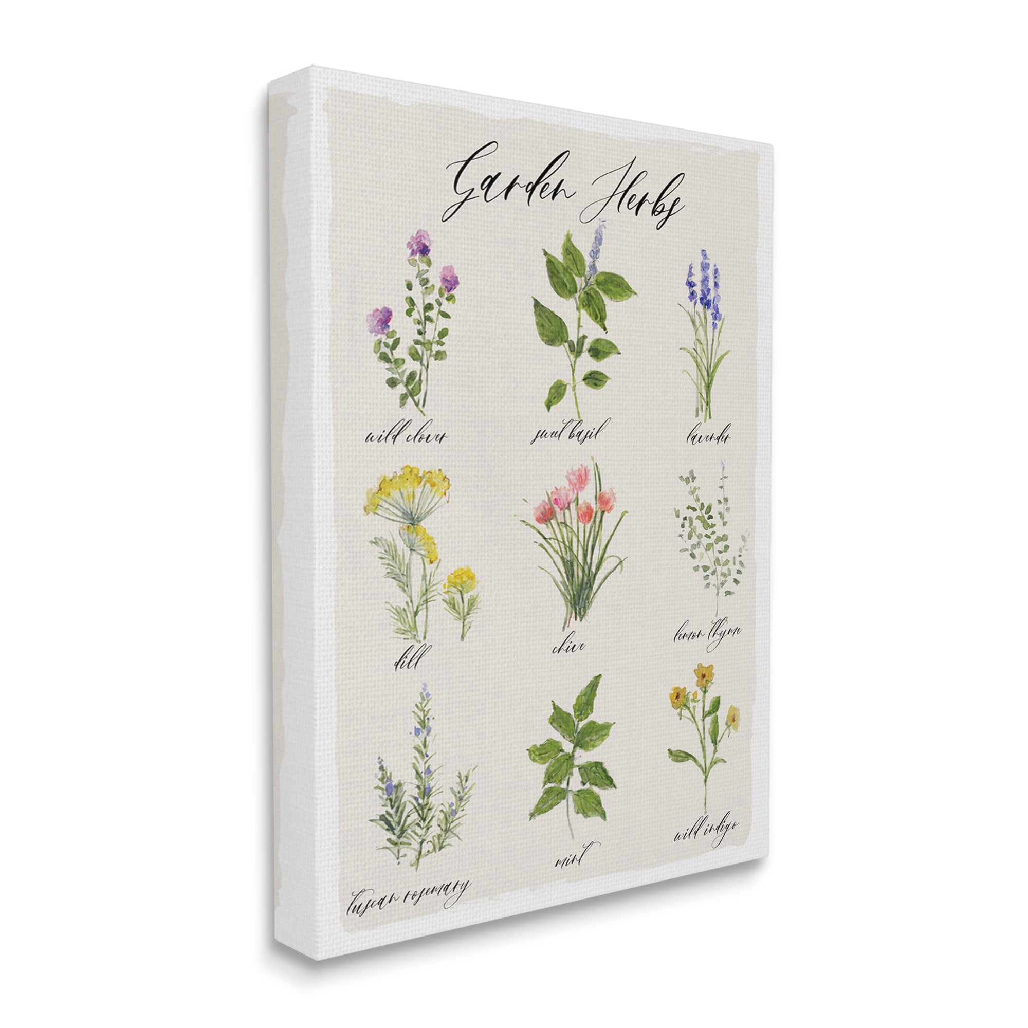 Stupell Industries Garden Herb Illustrated Chart Natural Kitchen Seasoning, 16 x 20,Design by Sally Swatland