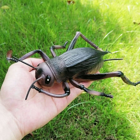 

HeroNeo Insect Simulation Model Toys Simulation Wildlife Model Ornaments Creepy Lifelike