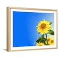 thumbnail image 1 of Sunflowers, Artwork, Botanical Scenic Framed Art Print Wall Art by Victor Habbick Sold by ArtCom, 1 of 6