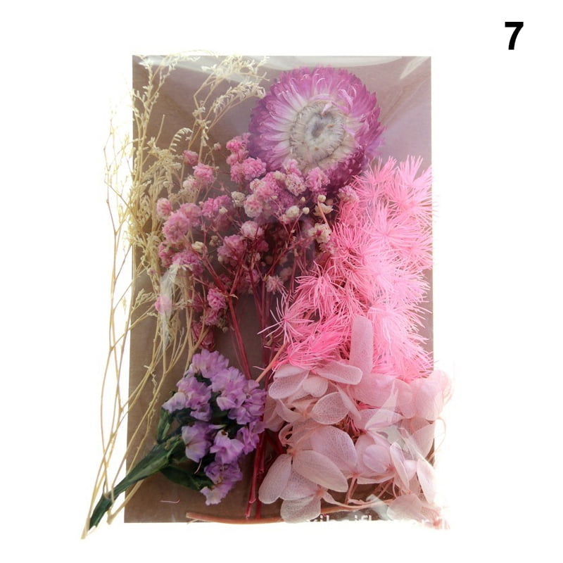 Aunifun Real Dried Pressed Flowers, Nature Dried Flowers Assorted Colorful  Daisies for Art Craft DIY Flower Resin Molds (Pink)