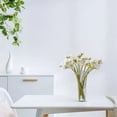 thumbnail image 4 of Plastic Imitation Glazed Vase Set 7.87-7.28in Clear Glass-Look Flower Pots - Multi-Size Living Room Cabinet Dried Flower Decoration (Clear/A)​, 4 of 6