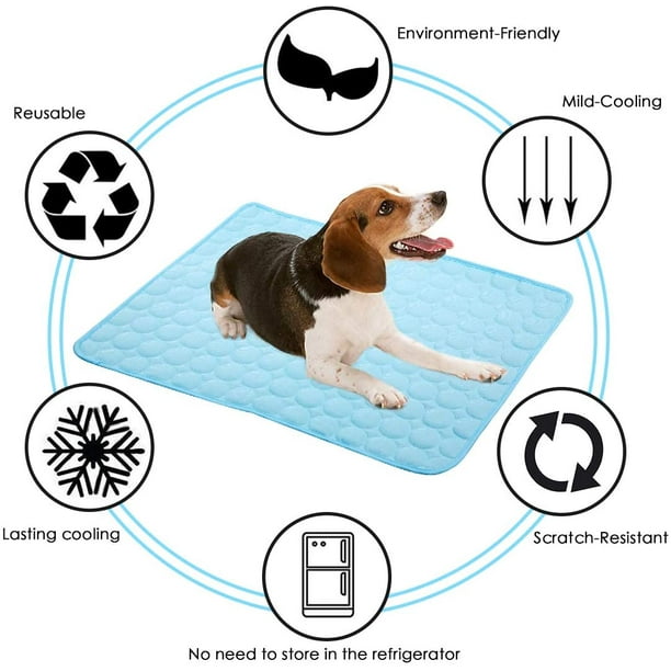 Tapis lavable Simple Solution pour chien