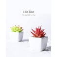 thumbnail image 3 of Fake Succulents Plants Artificial Faux Succulents Small 4pcs Mini Potted Plastic Succulents for Christmas Home Office Living Room Desk Decor Aesthetic A, 3 of 5