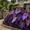 B, variant on Colorful Elephant Ear for Landscapes-Long Continuous Blooms-Low Maintenance-Ideal for Flower beds, Plant Pots & Planters