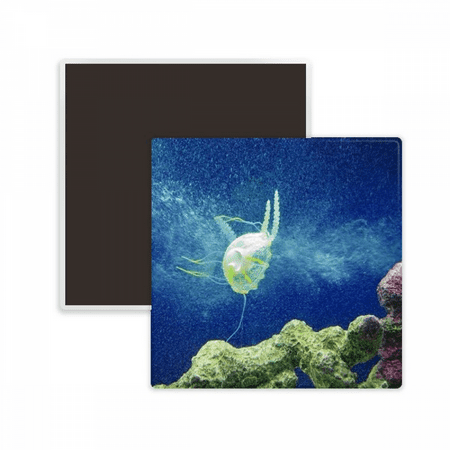 

Ocean Jellyfish Science Nature Picture Square Ceracs Fridge Magnet Keepsake Memento