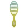 Ombre Blue Green