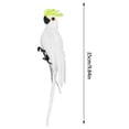 thumbnail image 2 of Visit the Apexora Store Dummy Feather Parrot Decoration Indoor Outdoor Clip, 2 of 6