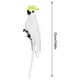 thumbnail image 3 of Loro muñeco de plumas, Verde , Decoración de jardín, Pájaro, Loro de acero dorado, Pájaro, Pájaro de plumas, Clip de espuma para pájaros, Decoración para pájaros, 3 of 6