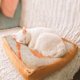 thumbnail image 4 of Cama relajante para mascotas Camas creativas para mascotas Alfombrilla para mascotas Cama para perros y gatos Cojín para gatos Almohada Tostadas de pan Colchón Cama para gatos y cama para Akmoler, 4 of 6