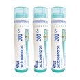 thumbnail image 1 of Boiron Rhus Toxicodendron – Homeopathic Medicine, Box of 3 Tubes (4g Each, Approx. 80 Pellets per Tube), 1 of 6