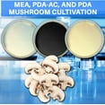 thumbnail image 5 of Agar Variety Kit by Evviva Sciences - Prepoured Potato Dextrose Agar, Malt Extract Agar, & Potato Dextrose Agar w/Activated Charcoal - Premium Performance - Great for Mushrooms & Science Projects, 5 of 5