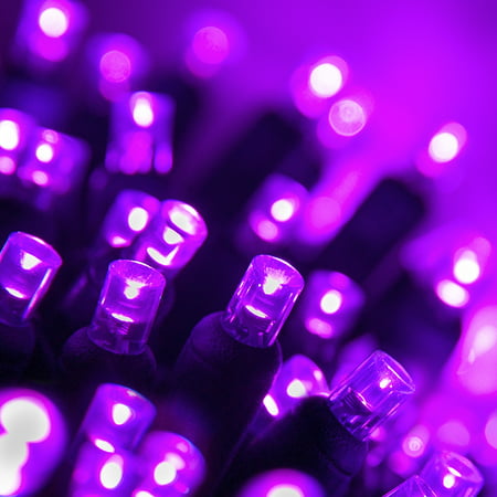 70 Purple 5mm LED Christmas Lights, Green Wire, 4