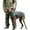 Grey, variant on UOSIA Dog Winter Coat with Fleece-Lined Adjustable Reflective Jacket for Large Dogs