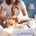 thumbnail image 5 of Plush Cat Toys with Catnip - Perfect for Kittens, 5 of 5