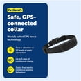 thumbnail image 4 of Collar para perros GPS Add-A-Dog Fence PetSafe Guardian negro, 4 of 7