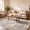 Beige, variant on ICEANT 5'x7'Non-Slip Machine Washable Area Rug with Abstract Print Design,Soft,Durable, Blue/Grey