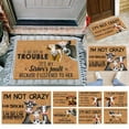 UIX Fun Spring NIU Entrance Mat NIU Slip Rubber Back Kitchen Fun Rug Front Door Fun