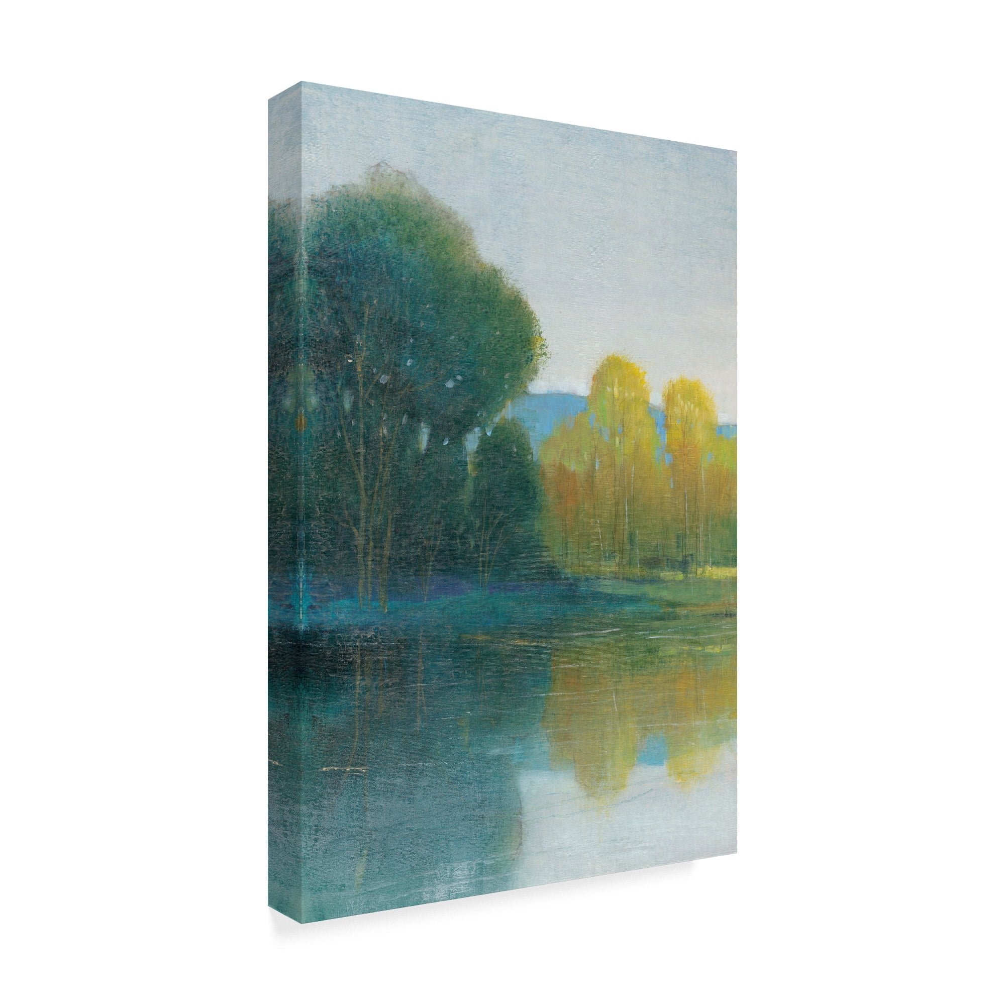 Trademark Fine Art 'Last Light I' Canvas Art by Tim OToole