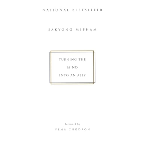 Pre-Owned Turning the Mind Into an Ally (Paperback) 157322345X 9781573223454