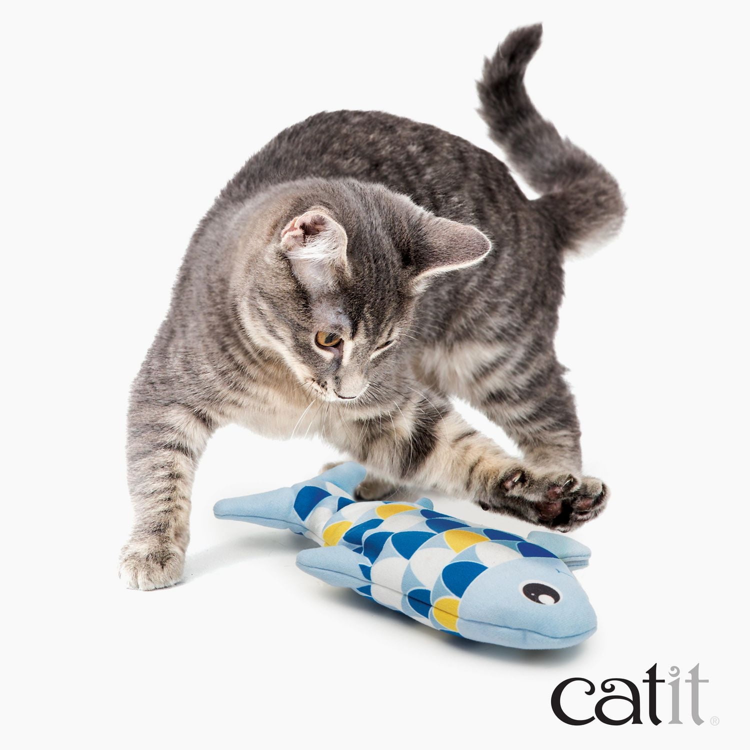 Jouet Catit Groovy, poisson