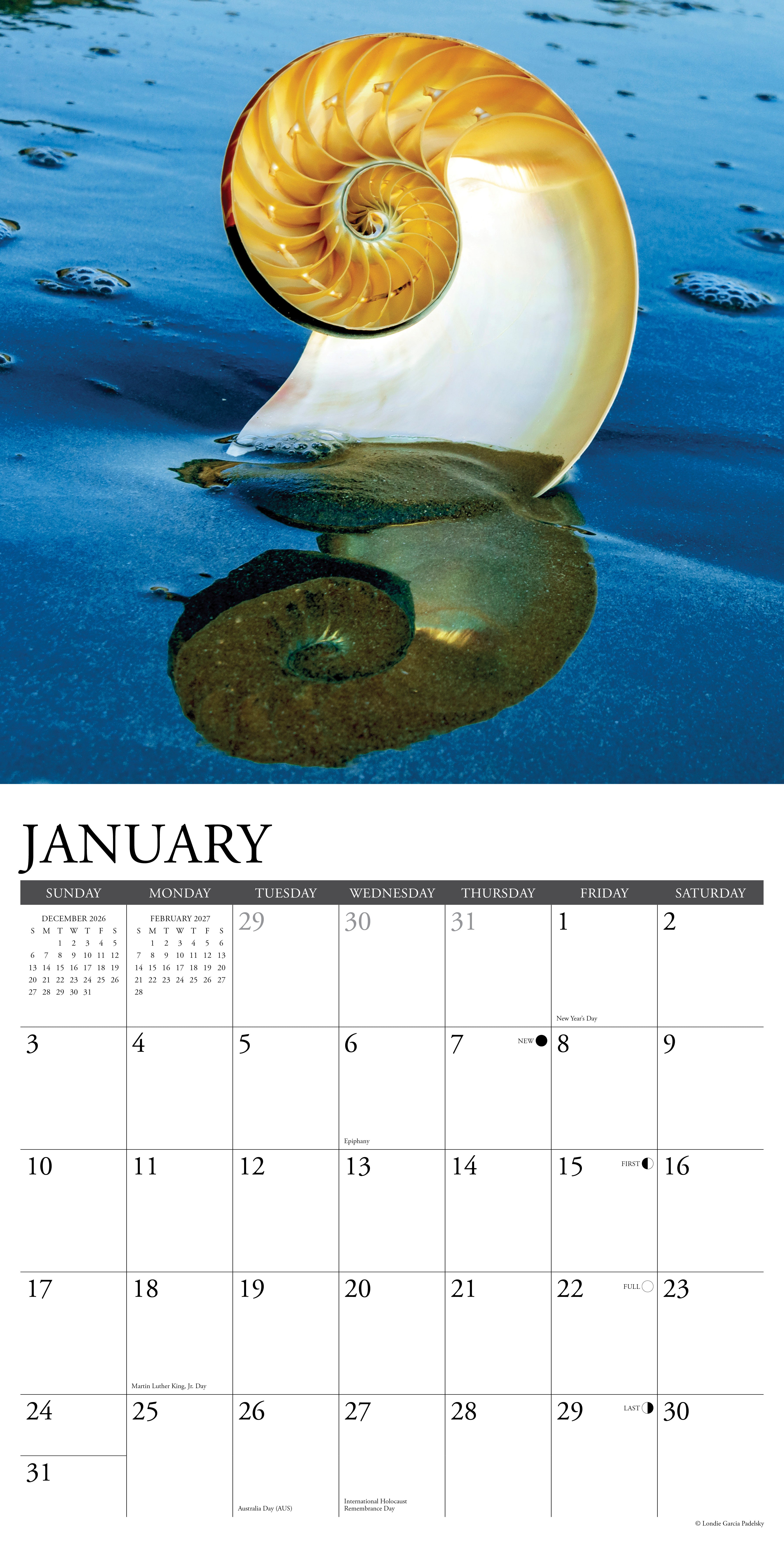 Willow Creek Press, Seashells 2027 Wall Calendar