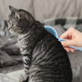 thumbnail image 2 of Peine para gatos: cepillo para gatos para mudar y arreglar mascotas, herramienta de cepillo para mascotas con botón de limpieza para gatos, perros, pelo corto y largo, elimina la capa intern, 2 of 5