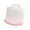 10 in, variant on TISHITA Cake Carrier with Handle Serving Tray Cake Stand Pink Base Cake Storage Muffin Tart Cookie Dessert Keeper for Kitchen Cookies 10 in with rack
