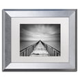 thumbnail image 2 of Trademark Fine Art "Withstand" Canvas Art by Michael de Guzman White Matte, Silver Frame, 2 of 5