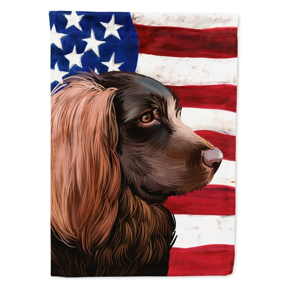 Carolines Treasures CK6455GF Boykin Spaniel Dog Garden Flag - 11 x 0.01 x 15 in.