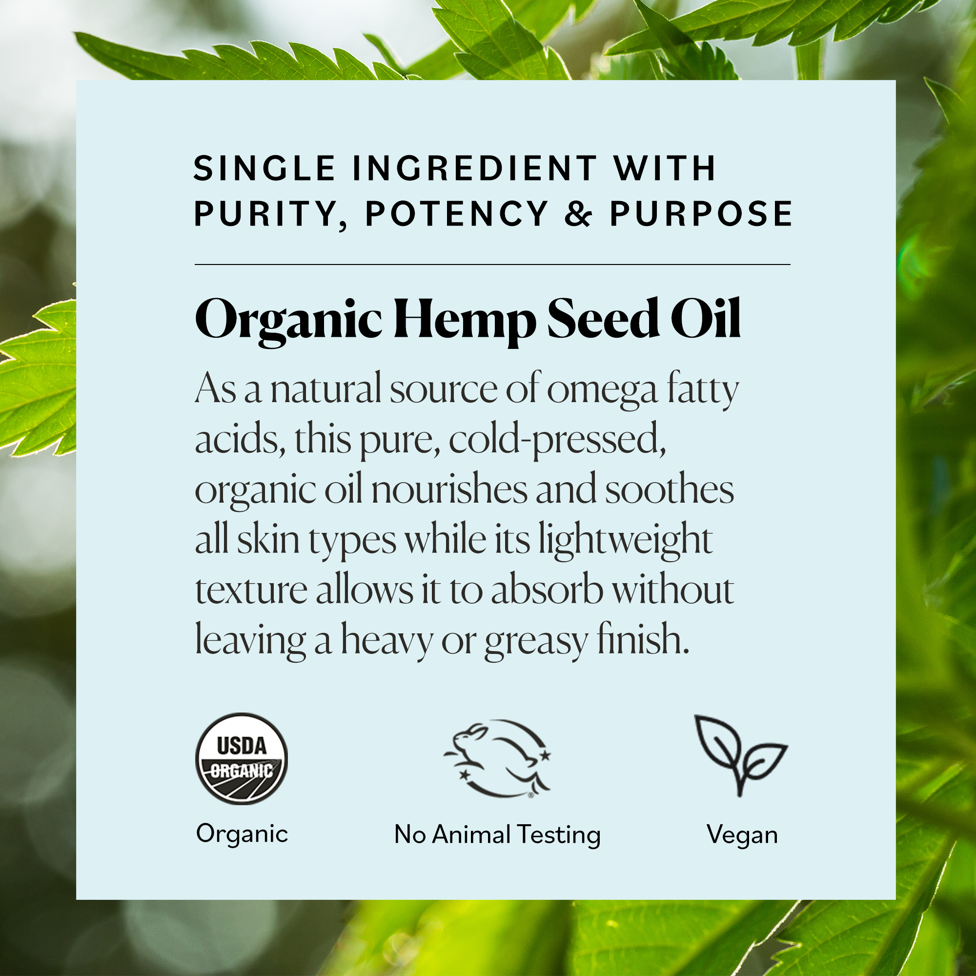 hemp seed oil benefits () hemp seed oil benefits