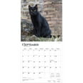 thumbnail image 4 of Black Cats | 2026 12x24" (Hanging) Square Wall Calendar | Plastic-Free, 4 of 9