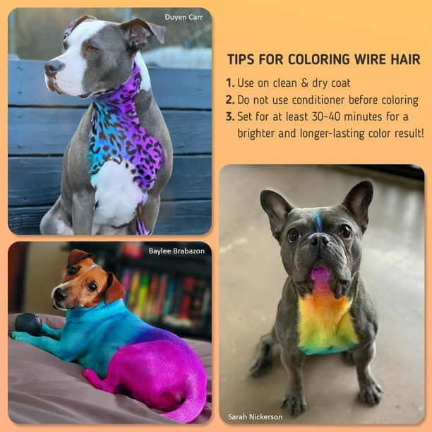 OPAWZ Permanent Dog Hair Dye Pet Hair Dye Safely Used by Grooming Salons for a Decade Pet Safe Dye Lasts Over 20 Washes Bright Color for Dogs and Horses Indigo Purple